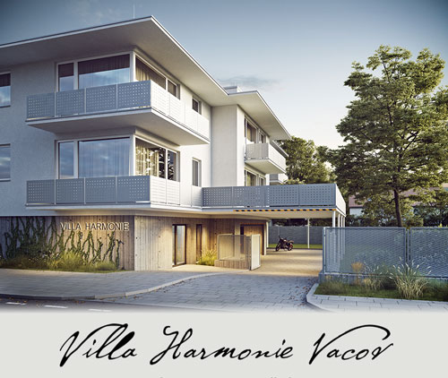Villa Harmonie Vacov 1